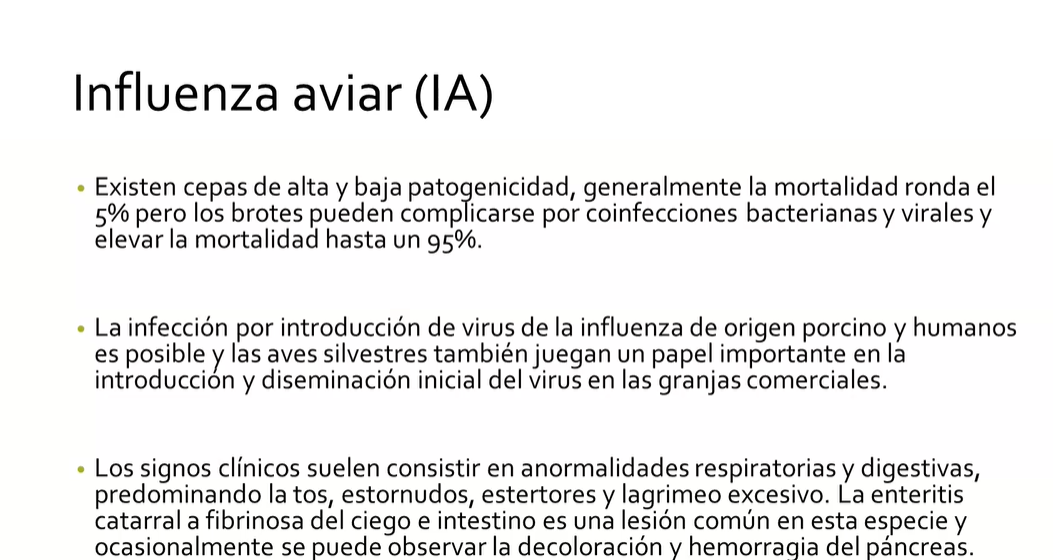  Pavos 3: Alimentación, manejo sanitario, beneficio, y organización de la producción 